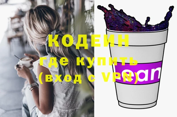 индика Балабаново
