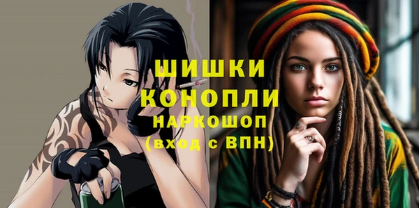 индика Балабаново