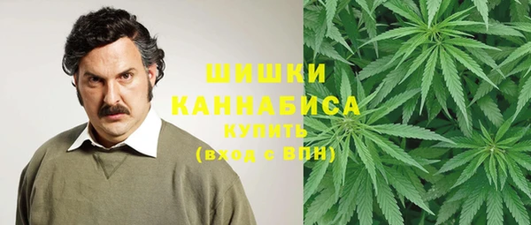 трава Беломорск