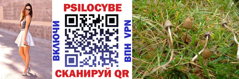 Псилоцибиновые грибы Cubensis  Троицк 