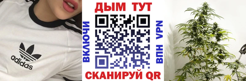 Бошки Шишки планчик  Троицк 